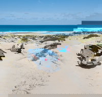 10 Day Adelaide to Perth Private Tour - The Great Australian Wilderness Journey - Accommodation in Bendigo