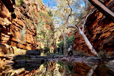 10-Day Adelaide To Perth Adventure Tour - Accommodation in Bendigo 5