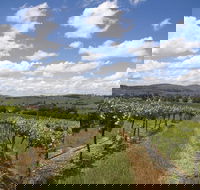 Hunter Valley Wine Tour from Sydney incl Lunch Cheese Chocolate and Distillery - Accommodation in Bendigo