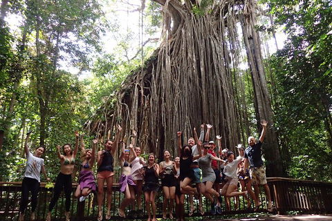 Atherton Tablelands Waterfalls Tour From Cairns - Accommodation in Bendigo 5