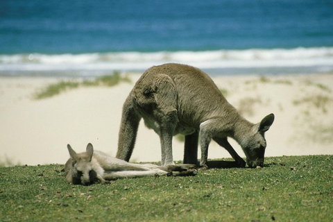 Great Ocean Road Highlights Tour - 2 Days, 1 Night - Accommodation in Bendigo 2