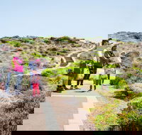 Margaret River Coastal and Wildlife Eco Trip from Busselton or Dunsborough - Accommodation in Bendigo